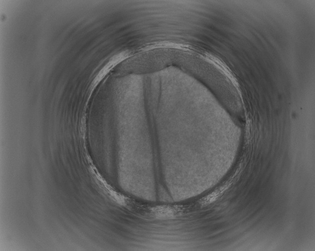 X0000081360898200702020137