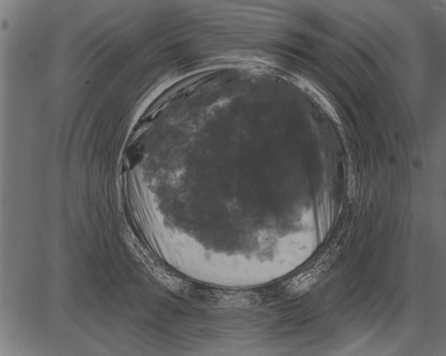 X0000081360899200702020137