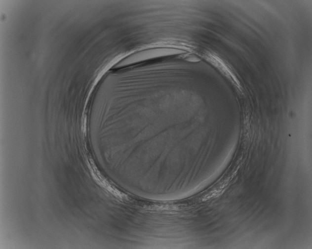 X0000081360900200702020137