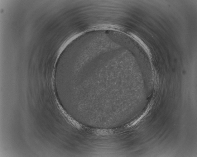 X0000081360901200702020137