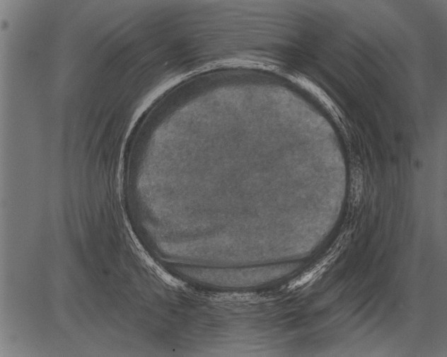 X0000081360902200702020137