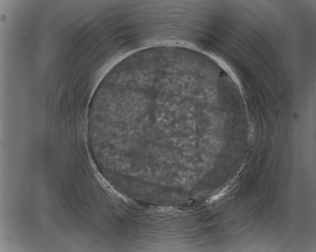 X0000081360903200702020137