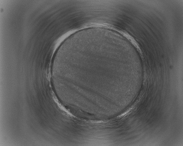 X0000081360904200702020137