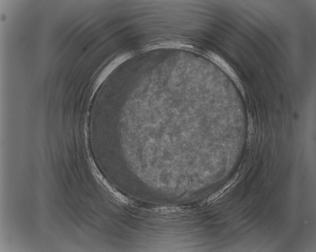 X0000081360906200702020137