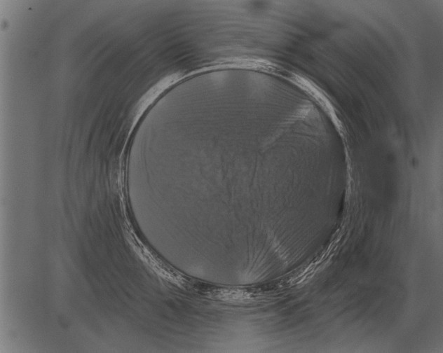 X0000081360907200702020137