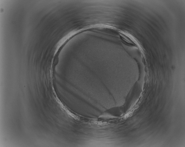 X0000081360910200702020137