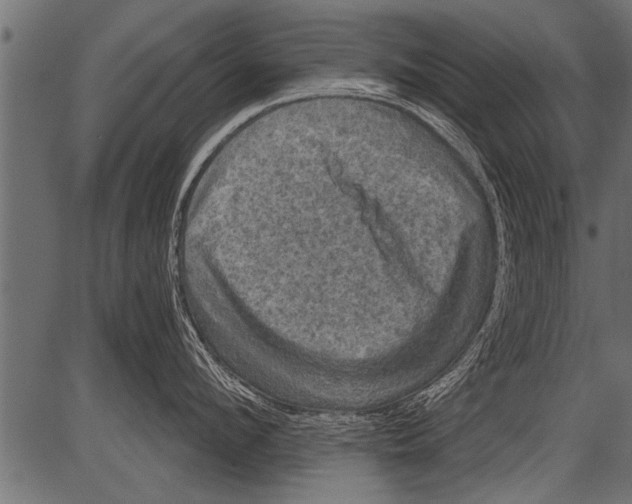 X0000081360912200702020137