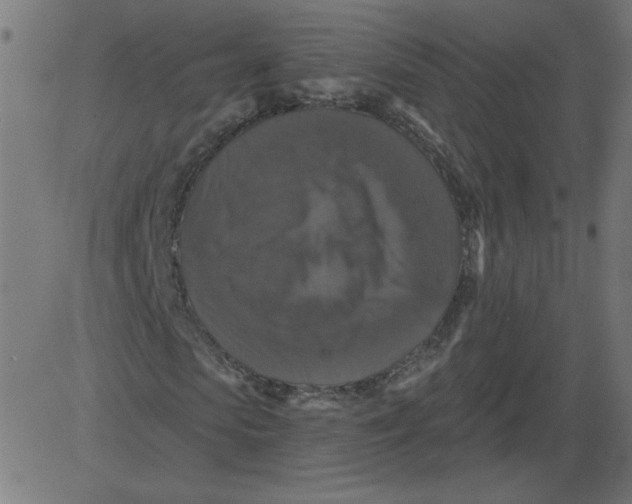 X0000081360913200702020136