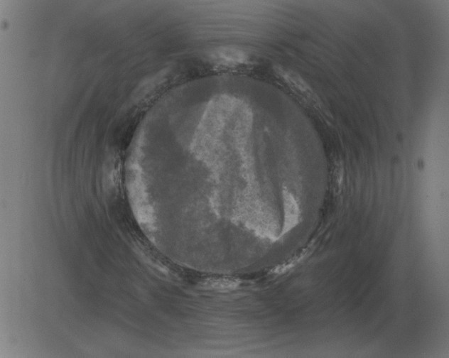 X0000081360914200702020136