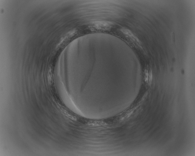 X0000081360915200702020136