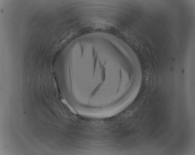 X0000081360916200702020136