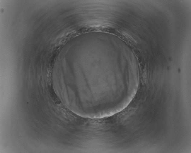 X0000081360917200702020136