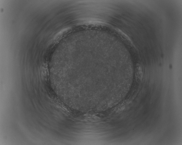 X0000081360918200702020136