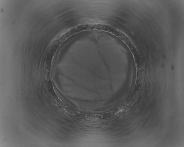 X0000081360919200702020136