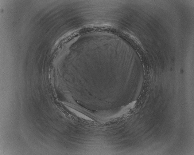 X0000081360920200702020136