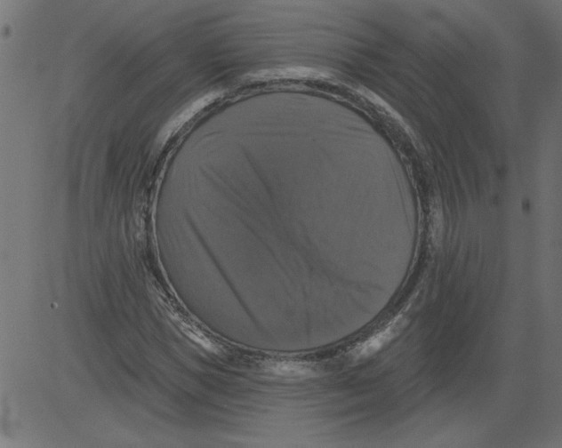 X0000081360921200702020136