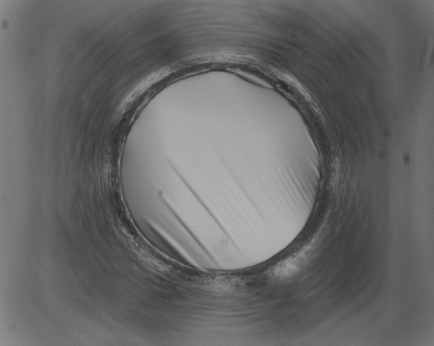 X0000081360922200702020136