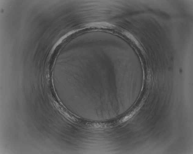 X0000081360923200702020136