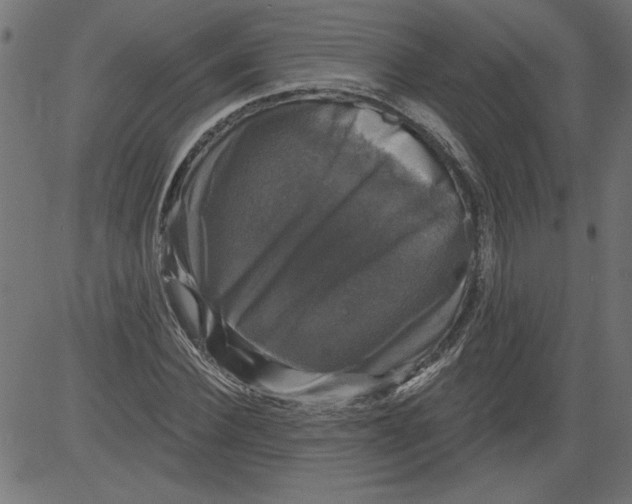 X0000081360924200702020136