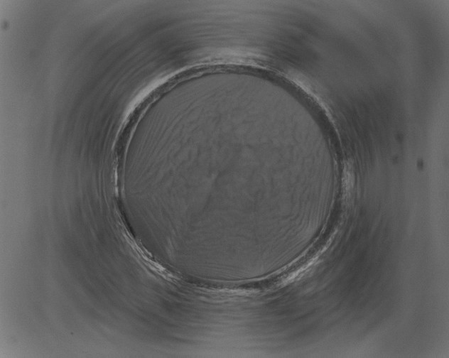 X0000081360925200702020136