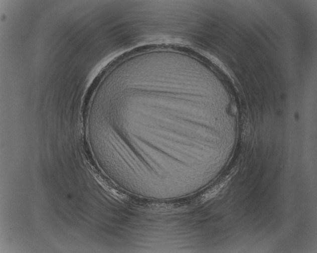 X0000081360927200702020136