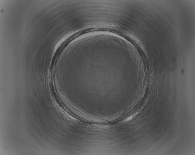 X0000081360928200702020136