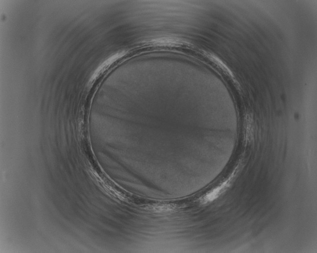 X0000081360930200702020136