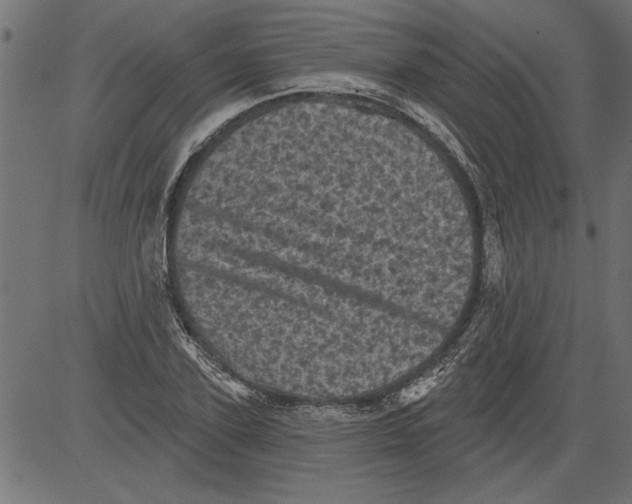 X0000081360931200702020136