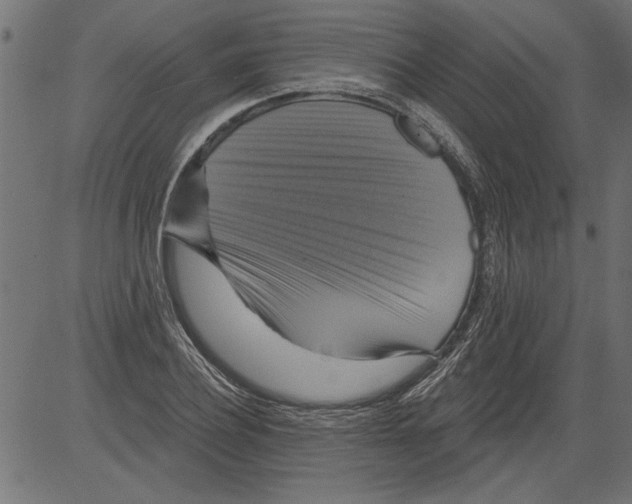 X0000081360932200702020136