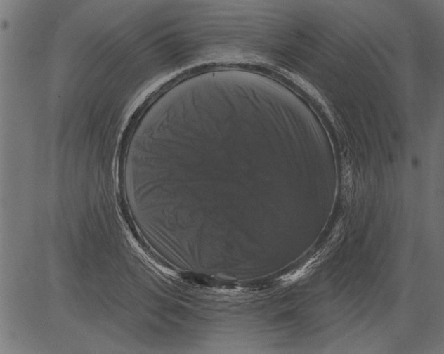 X0000081360935200702020136