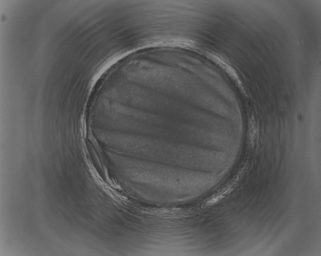 X0000081360936200702020136