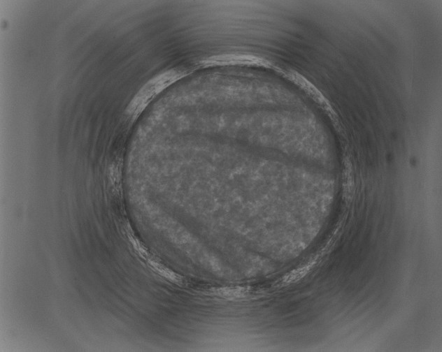 X0000081360937200702020136