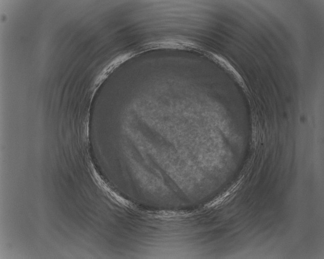 X0000081360938200702020136