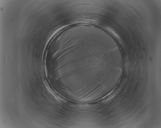 X0000081360940200702020136