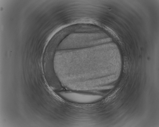 X0000081360942200702020136