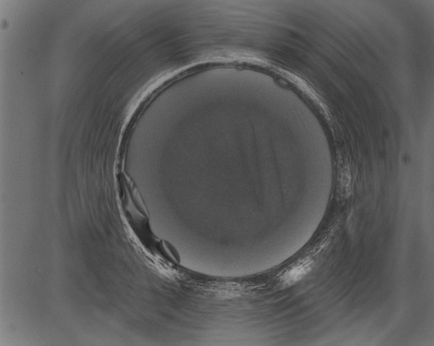 X0000081360943200702020136