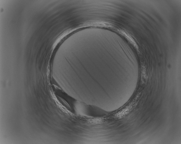 X0000081360944200702020136