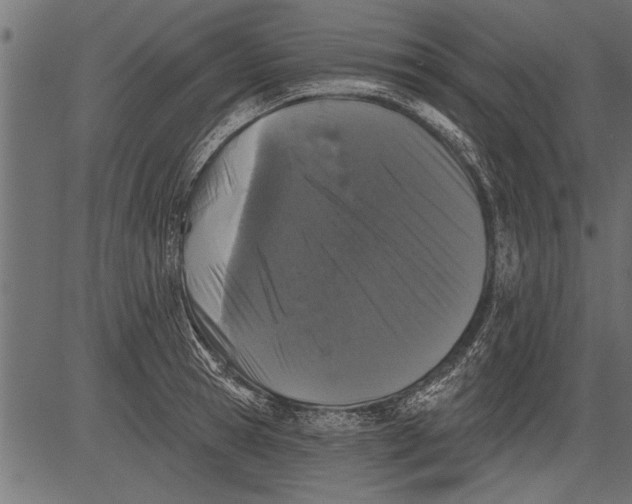 X0000081360945200702020136