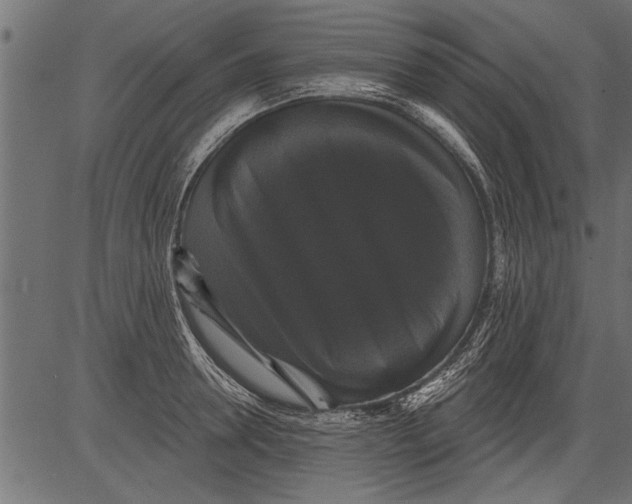 X0000081360946200702020136