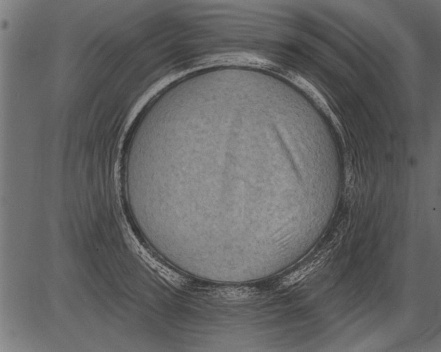 X0000081360947200702020137