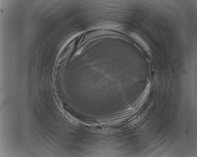 X0000081360948200702020137