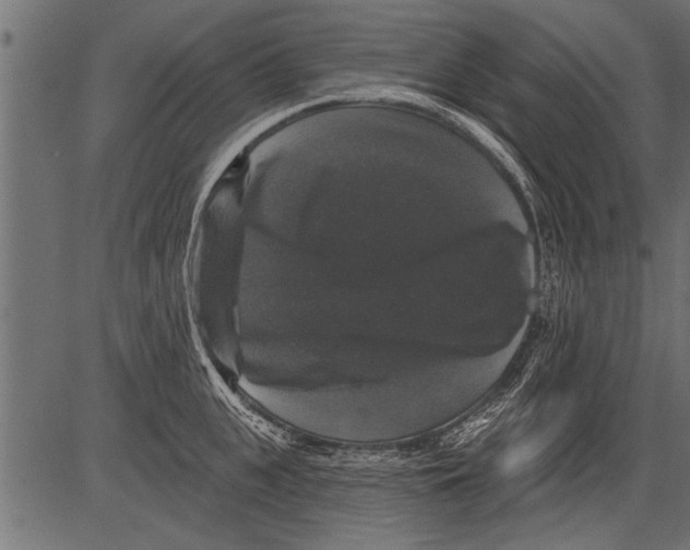 X0000081360951200702020137