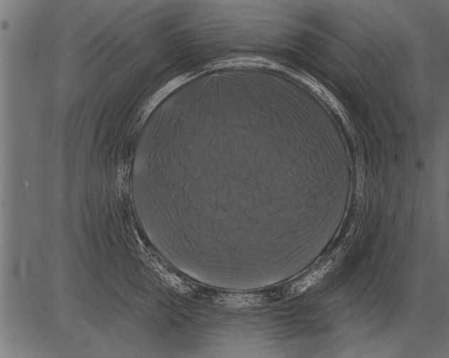 X0000081360953200702020137