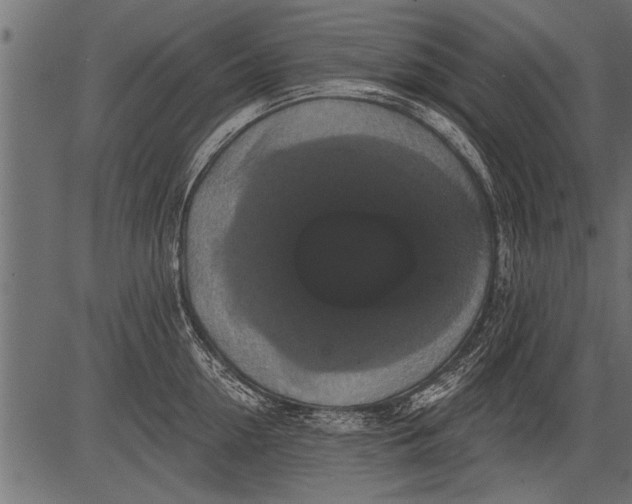 X0000081360954200702020137