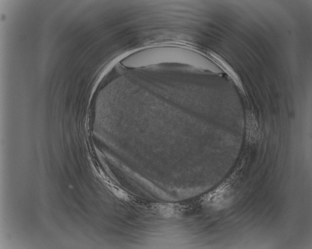 X0000081360956200702020137