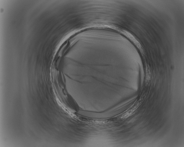 X0000081360958200702020137