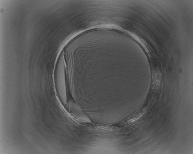 X0000081360959200702020137