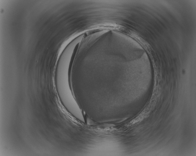 X0000081360960200702020137