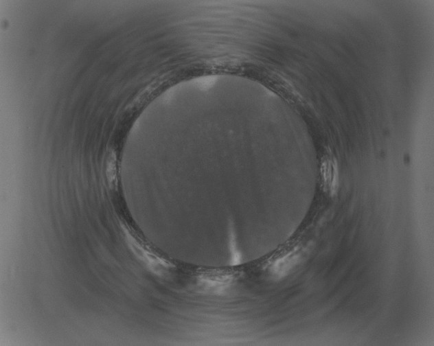 X0000081360963200702020136