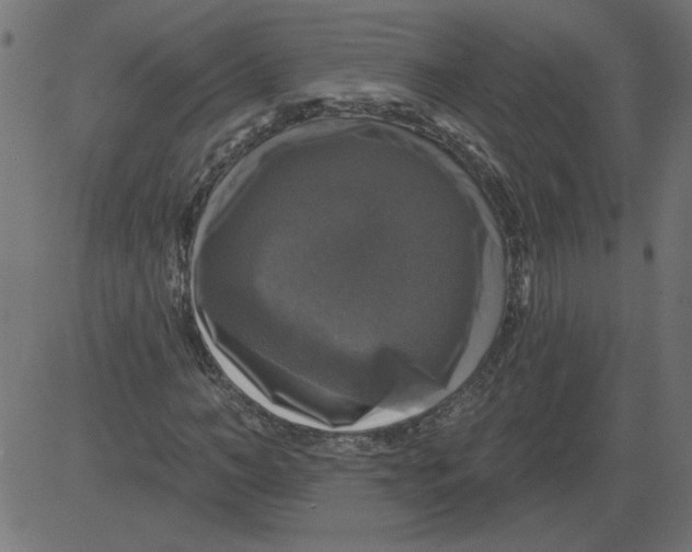 X0000081360966200702020136